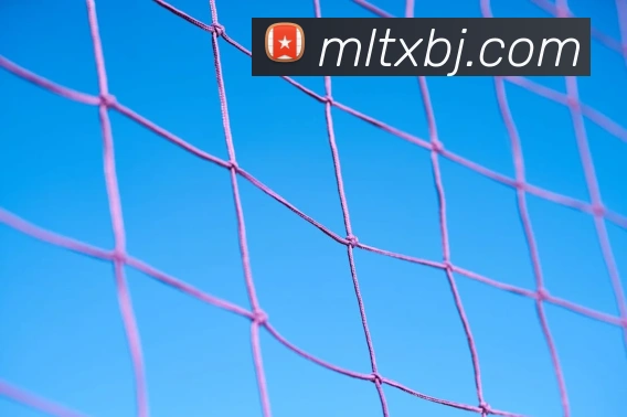 米兰milan官网品牌故事